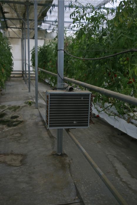 Issiqxona.parnik.teplitsa.иссиқхона парник теплитца