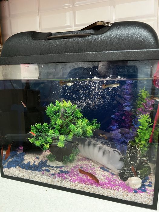 Продам аквариум в отличном состоянии