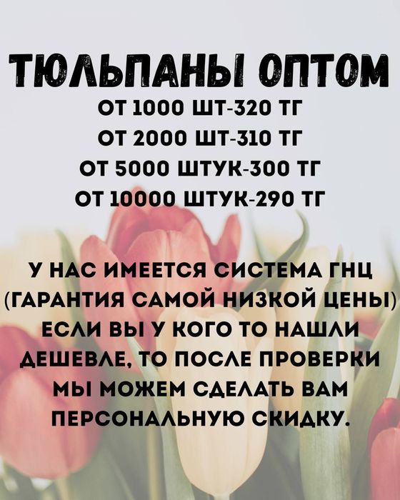 Тюльпаны оптом Караганда