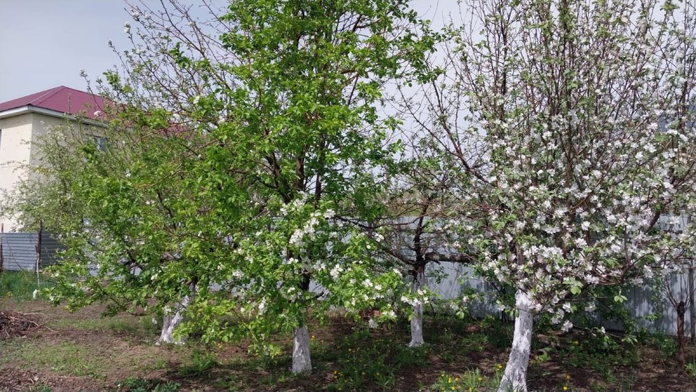 Продается    дом