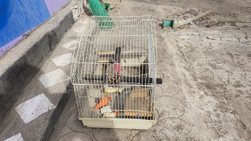 Продам срочно  клетку.