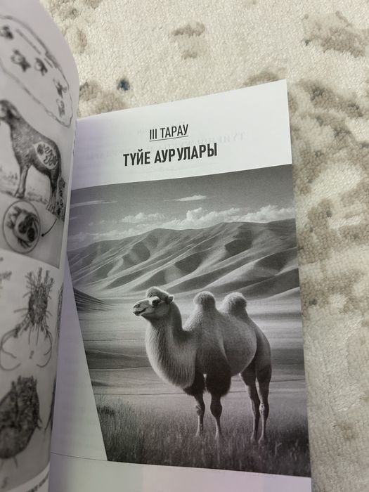 Книга,кітап,мал аурулары