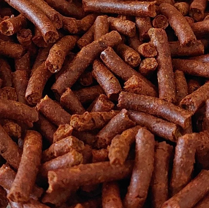 Vietuitoare apa dulce(pesti,creveti,melci,plante)