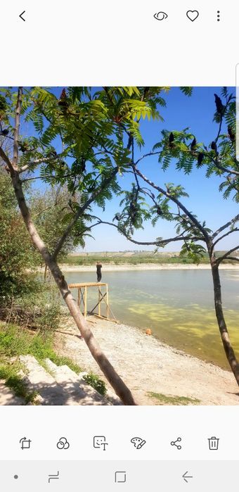 Yer baliq kol (prud)