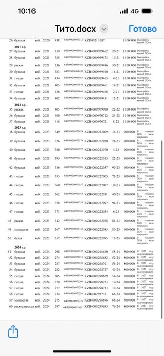 Кабылы породы мугалжар.