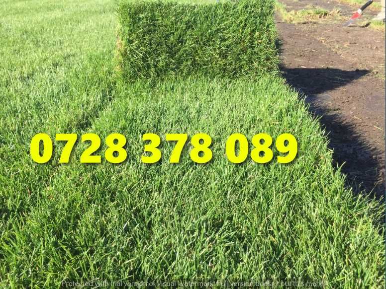 Gazon / Insamantare / Rulouri de Gazon