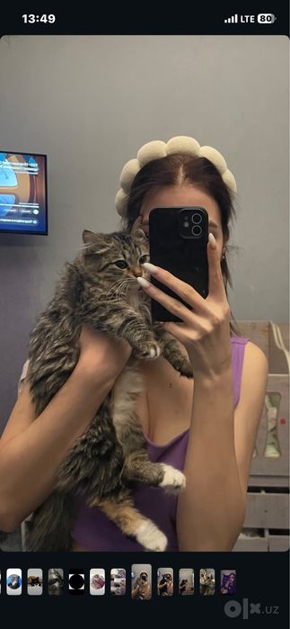 отдаю даром котенка 4 месяца