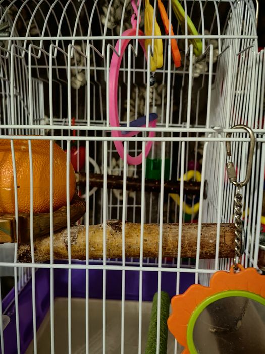 Клетка для попугая