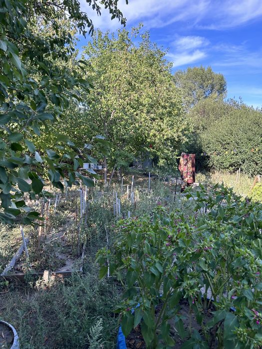 Продам или сдам дачу на Восточном.Протока