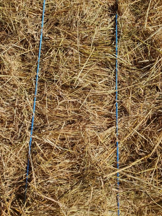 Baloți de fân - Calitate superioară