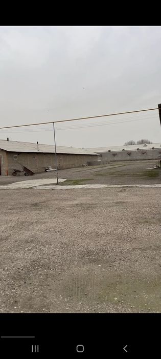 1 гектар 60соток Верхнечирчикский райн  Болта