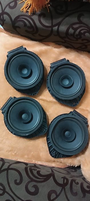 Cobalt radnoy kalonkala