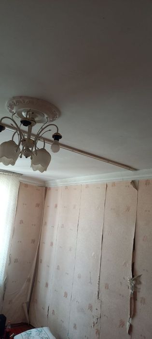 Аренда участка 4 сотки 3 комнаты, Дворец