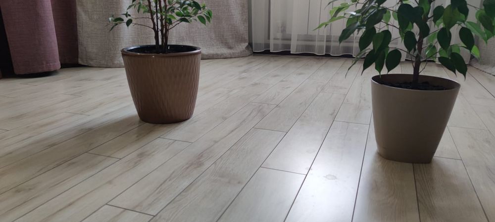 Ламинат 14мм 27кв.м.