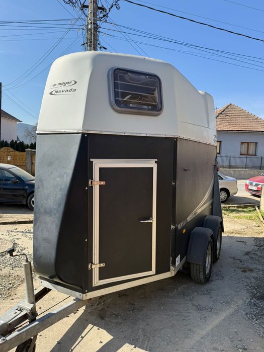 Vand un armasar pinto, o iapa kwpn, ambii metis de frizian, o trasura, o pereche de hamuri complete maro si o remorca de cai
