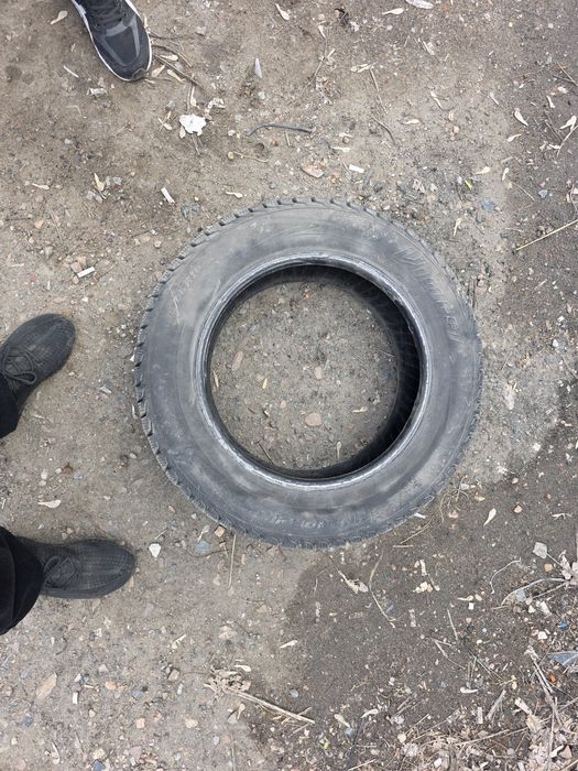 Продам шины 185х6515