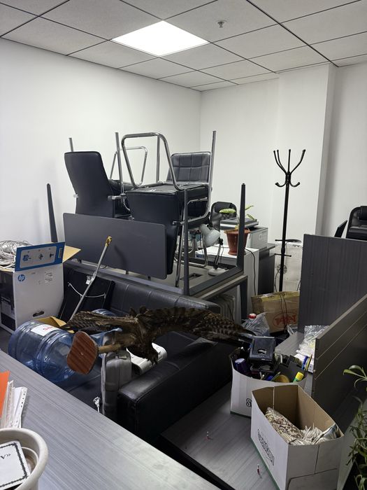 мебель для офиса