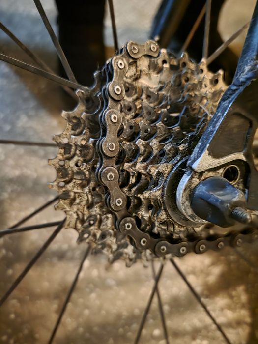 Bicicleta cursiera Diamant