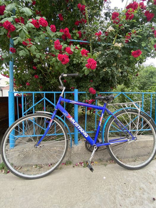 Велосипед взросл.