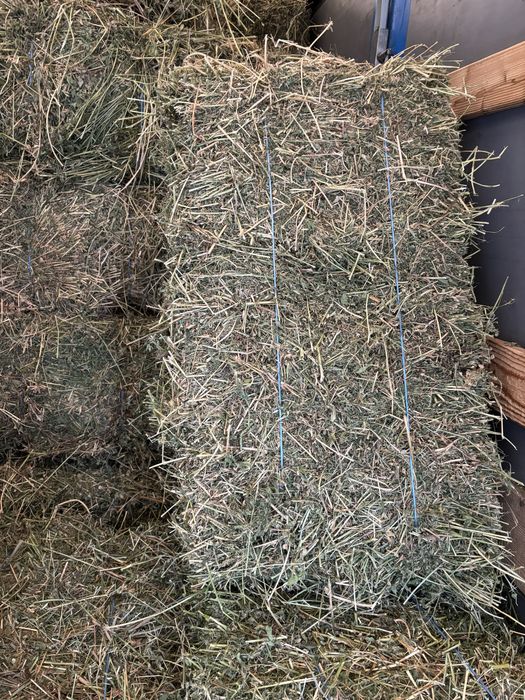 Baloti lucerna dreptunghiulari