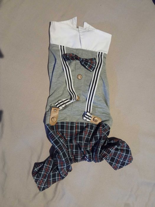 Костюм для собаки