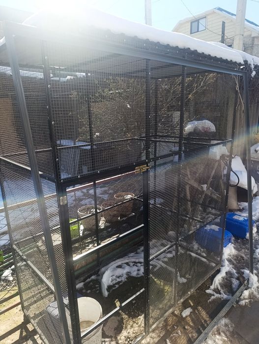 клетка для птицы