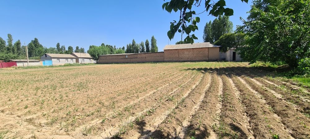 Betonkani yonida uchastka M39 60 metr
Toshkentgan 18km