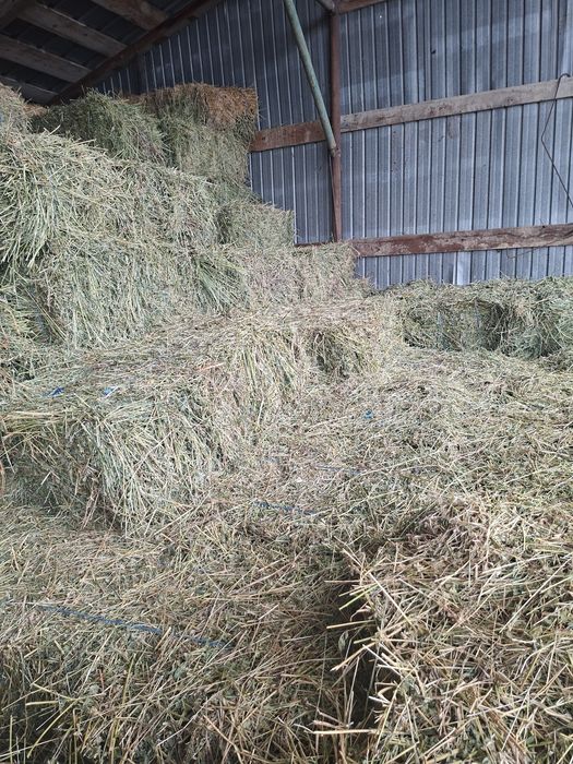 Baloti Lucerna fan paie