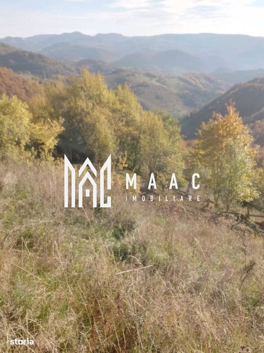 5000 teren in Muntii Apuseni I Pregatit pentru constructie