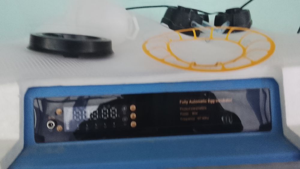 Yangi enkubator Xitoydan kelgan.
85-90% tuxumlar ochib chiqadi
Ochib c