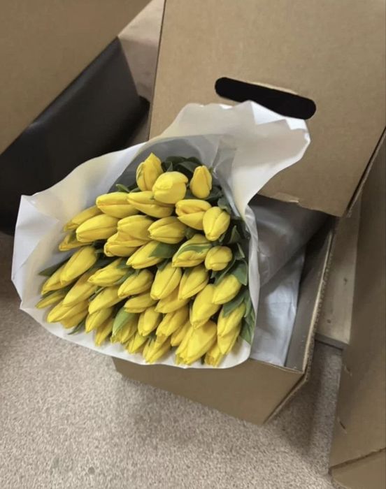 Тюльпаны оптом свежая вырезка