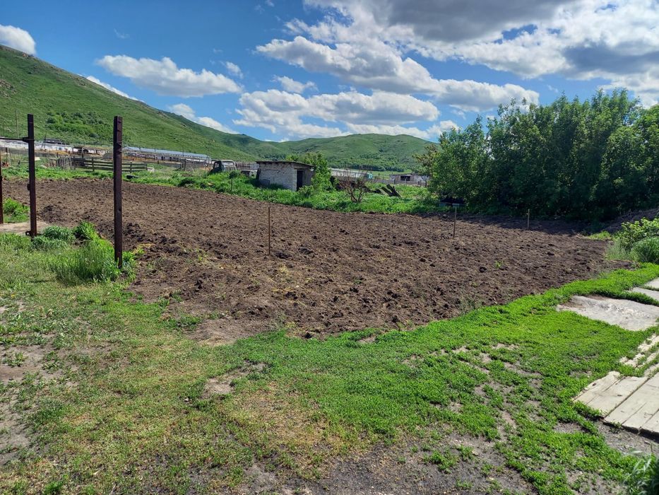 Продам дом село Веселовка