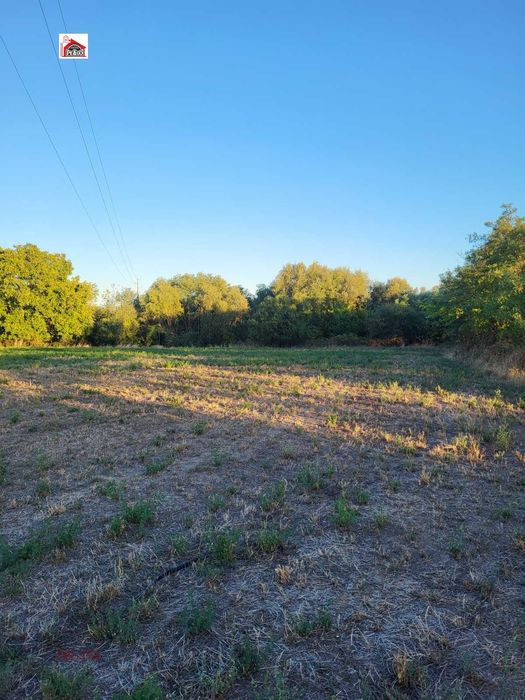 Продава се Парцел в с. Бошуля, Област Пазарджик - 4000 кв.м за 8 €/кв.м - Снимка #2