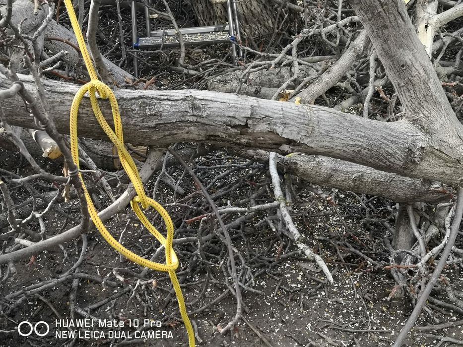 Tăiere copaci defrisari terenuri alpinist utilitar evaluare gratuita