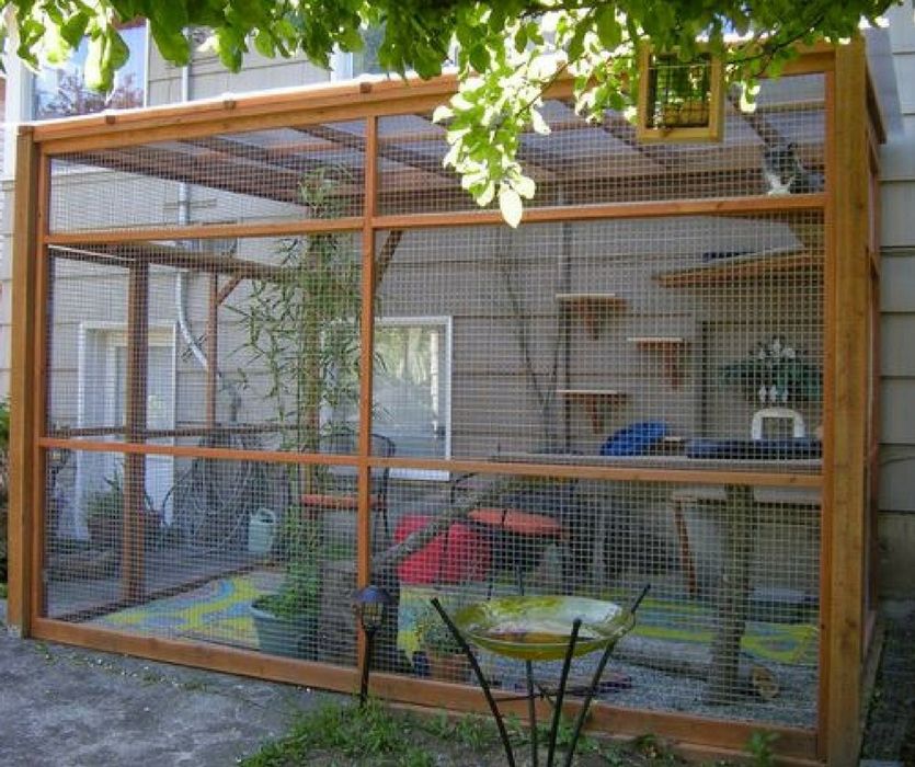 Павлинник на заказ