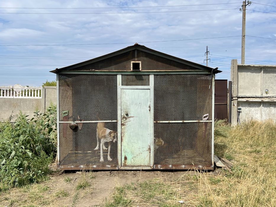 Продам голубяню (утепленная)