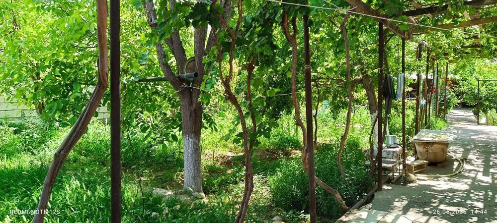 Продается Дача Восход  Срочно