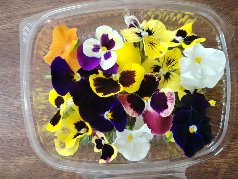 Свежая микрозелень для украшения вашего стола