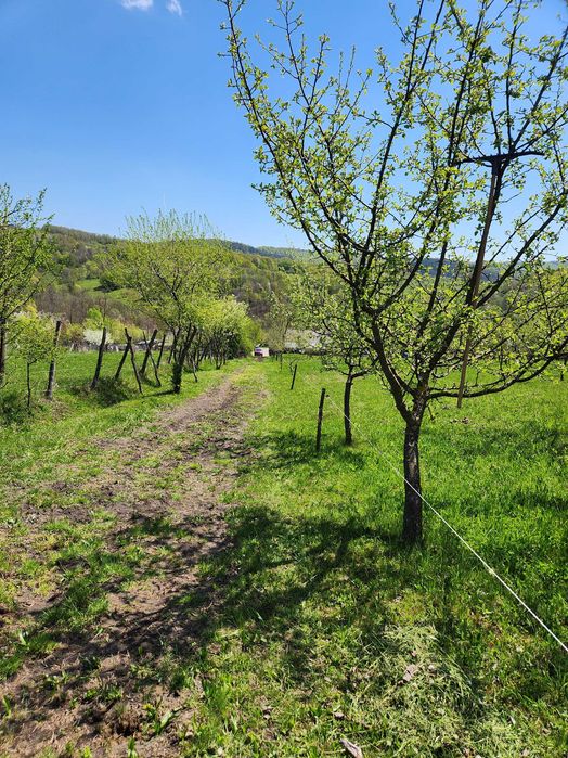Vand teren 16000 mp intravilan/extravilan in zona Valenii de Munte jud. Prahova