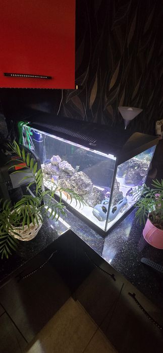 Аквариум 105 литра