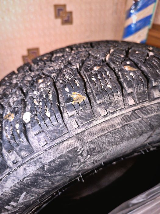 Шины зимние  Triangel