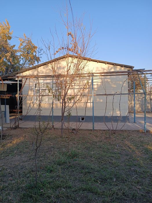 Дача 7 сотих хамма шароти бор