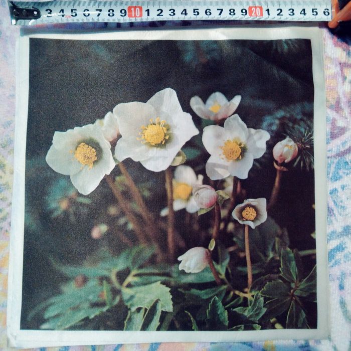 Нов комплект-ръкохватка, ръкавица , кърпа100% памук и шпатула за торта