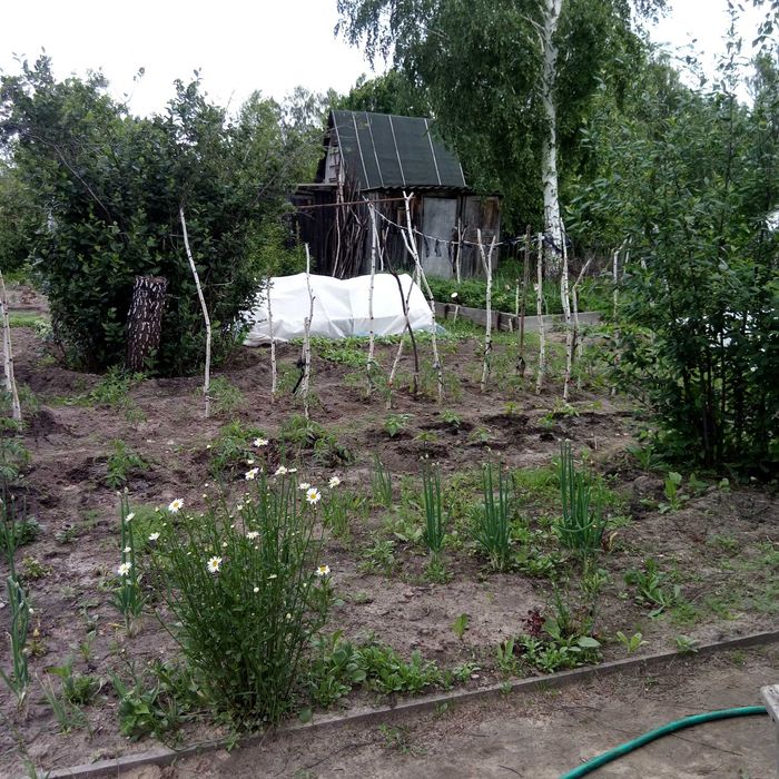 Продам дачу за Новопавловкой