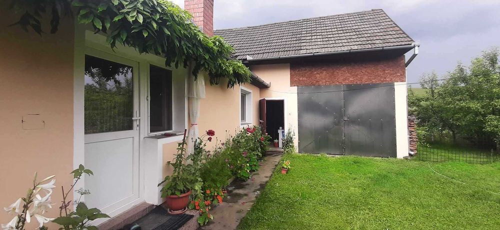 Două case de vânzare, în aceeași curte!!!