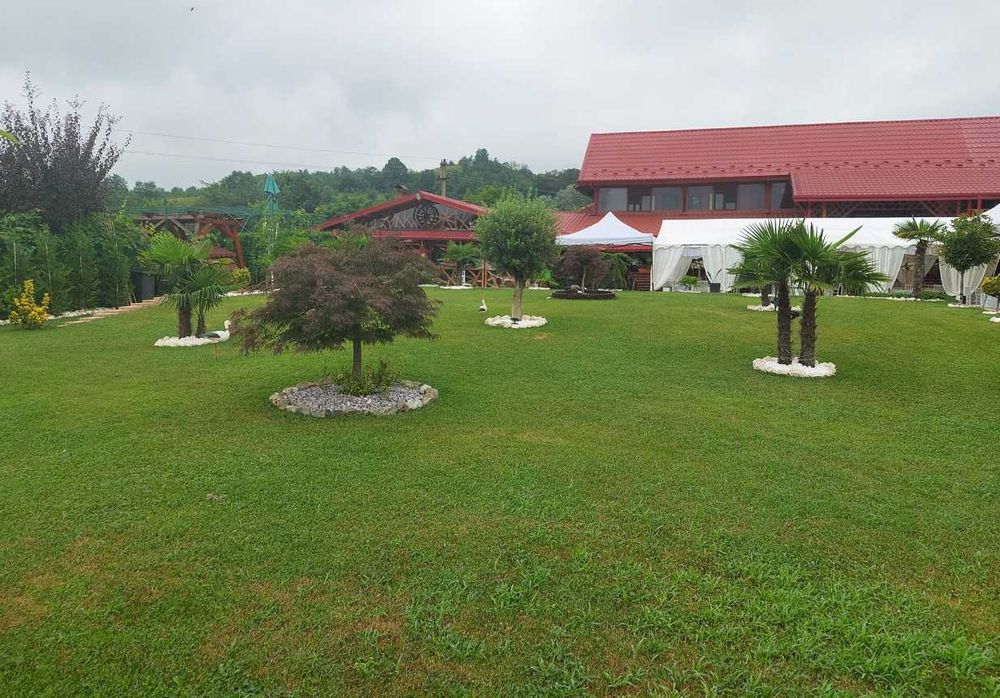 Gazon Rulou Sisteme de Irigare