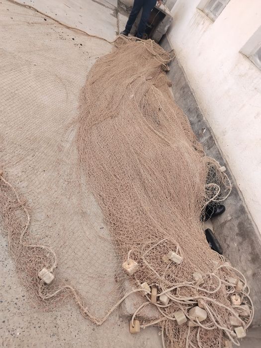 Lotka, suv mator, Liviviotka, Suzma tor