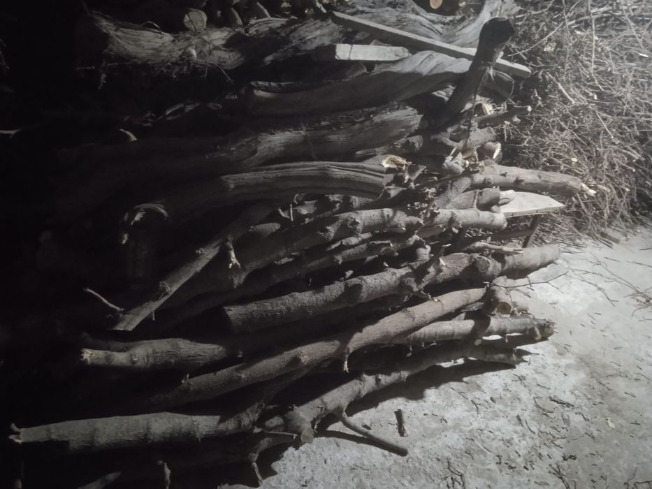 Tut Otinlar sotiladi