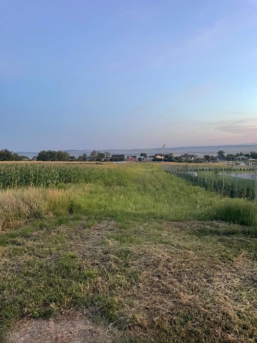 Teren intravilan Plopeni Suceava