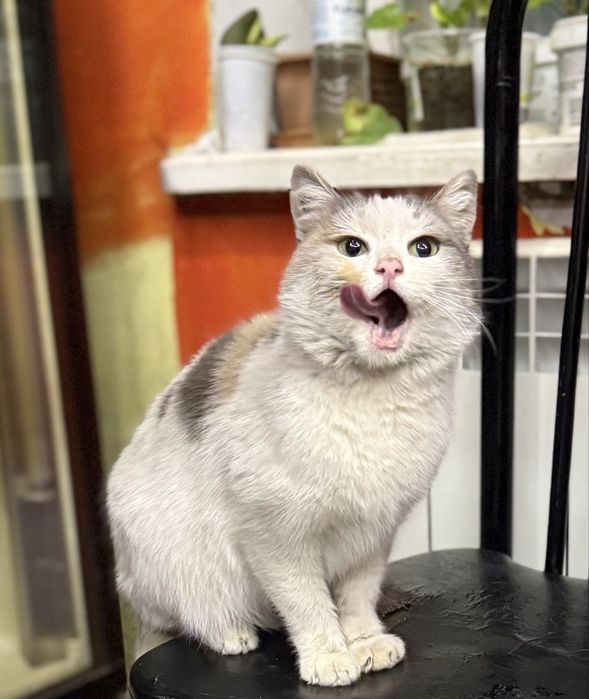 Беленькая девочка